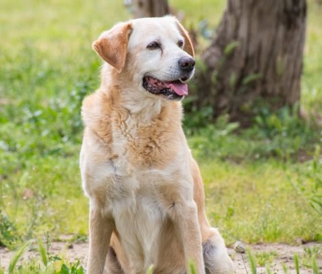 186009451_3897486657033231_1094018638554351379_n