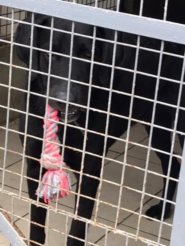 8059daa6-7fb5-4650-8de4-4e4f9cb50bda