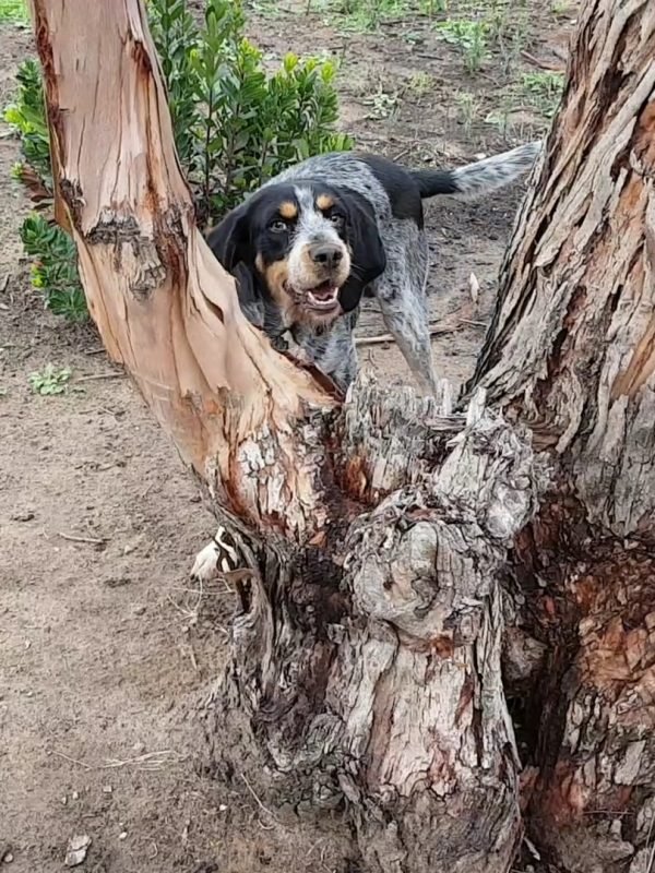 Screenshot_20211103-124138_Video Player