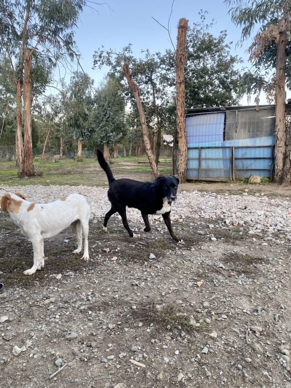 a138d473-a84a-493a-9519-57870dfa61f3