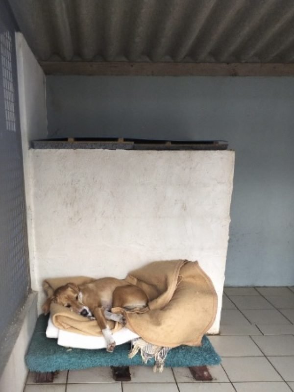 bfca90b7-a181-4124-937b-d10539f4521b